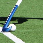 hockeystick