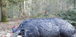 3D NK Archery 2018