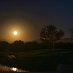 stan-scott-L86P_L6GewY-unsplash